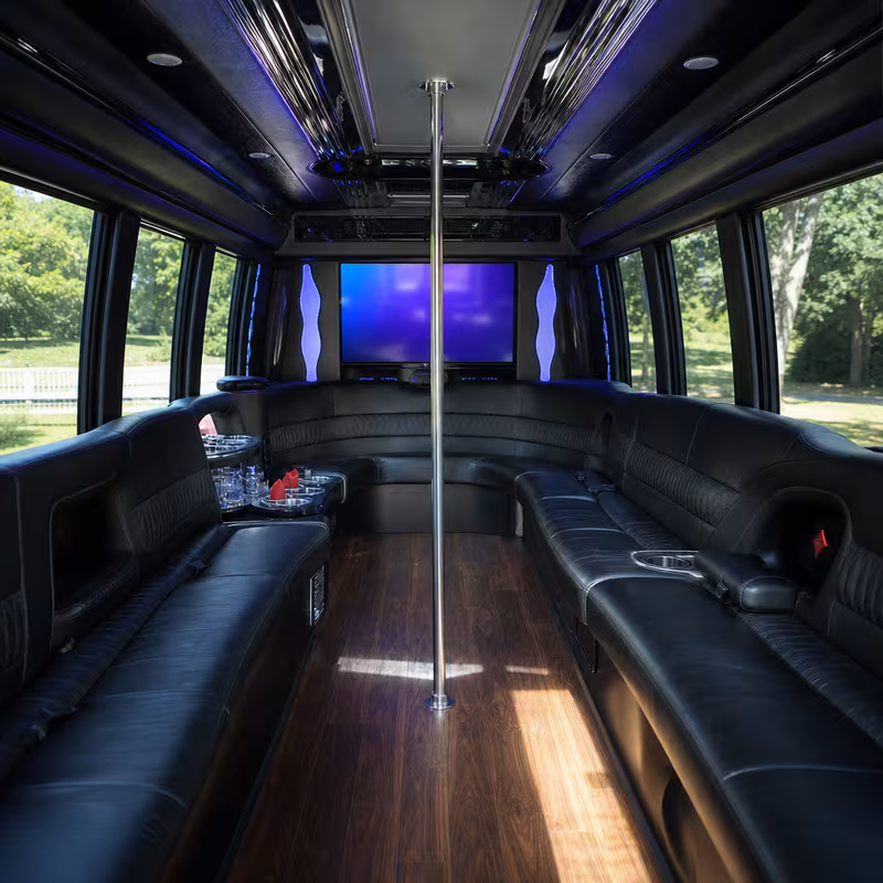 Passenger watching the Fresno scenery during a regional party bus road trip
