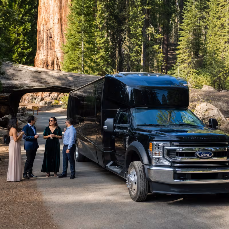 Sequoia National Park — Giant Forest